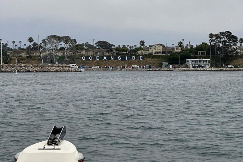 “The best whale watching experience! Our fast and safe boat lets us cover more ocean, giving you the best chance to see whales up close. Small groups, big adventures!” 5