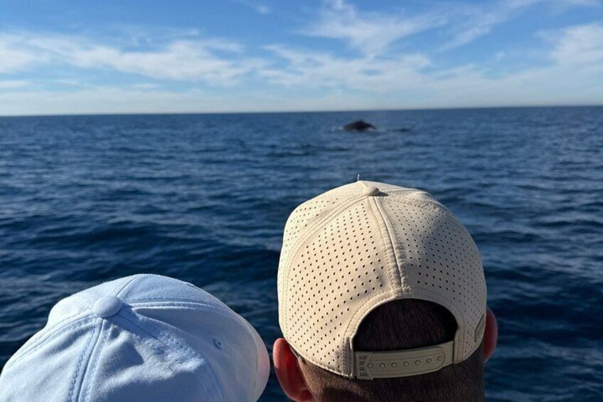 Whale Watching with O’side Whales 3