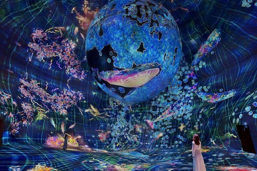 teamLab Phenomena Ticket 3