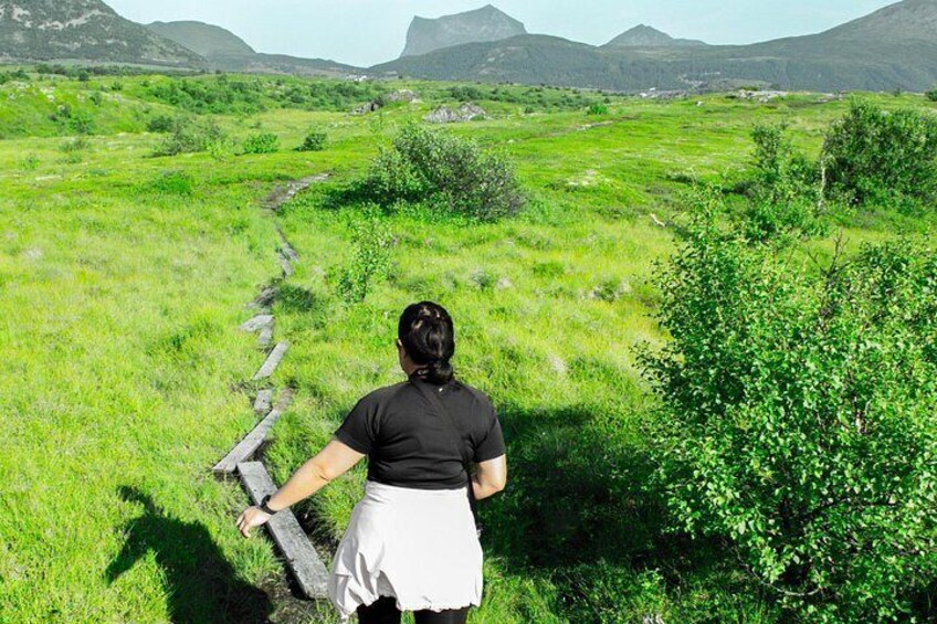 Private Mini Hike Leknes Archipelago 2