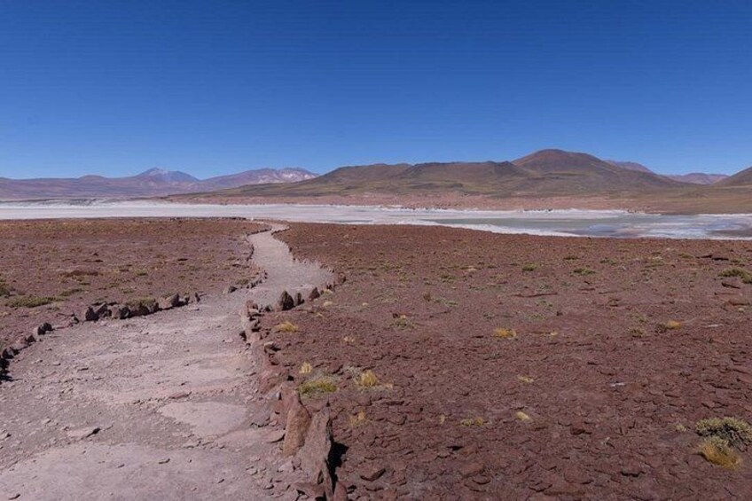 Red Stones and Altiplanica Lagoons Salar de Atacama 5
