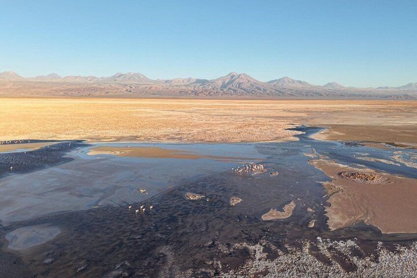 Una extensa planicie salada con charcos de agua dispersos y montañas al fondo. 4