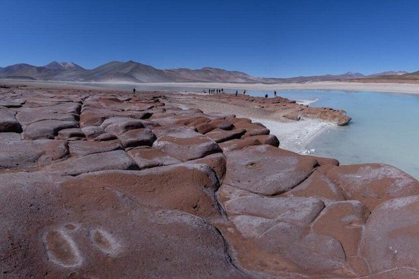 Red Stones and Altiplanica Lagoons Salar de Atacama 4
