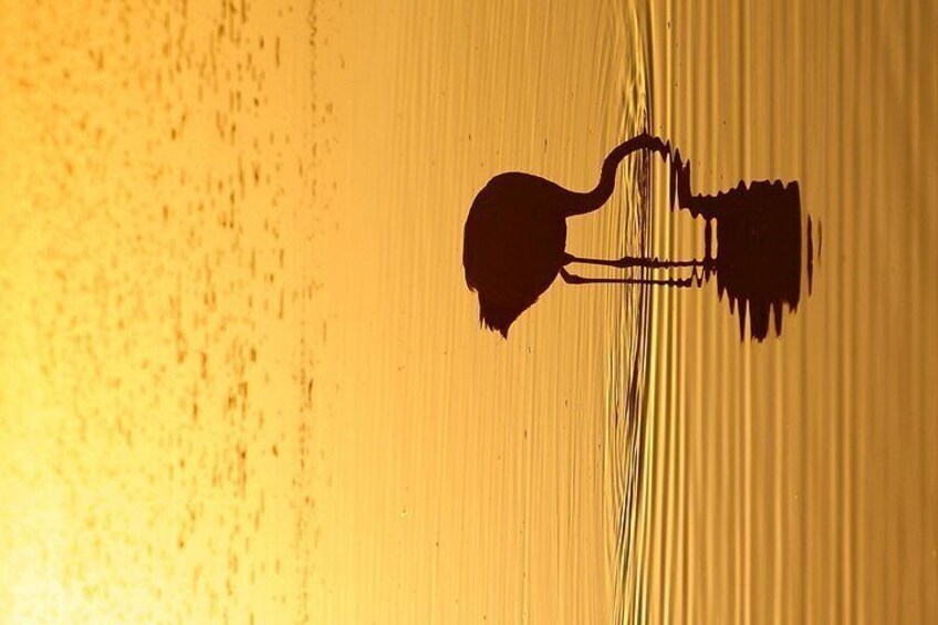 Silueta de una guitarra sobre un fondo amarillo texturizado. 2