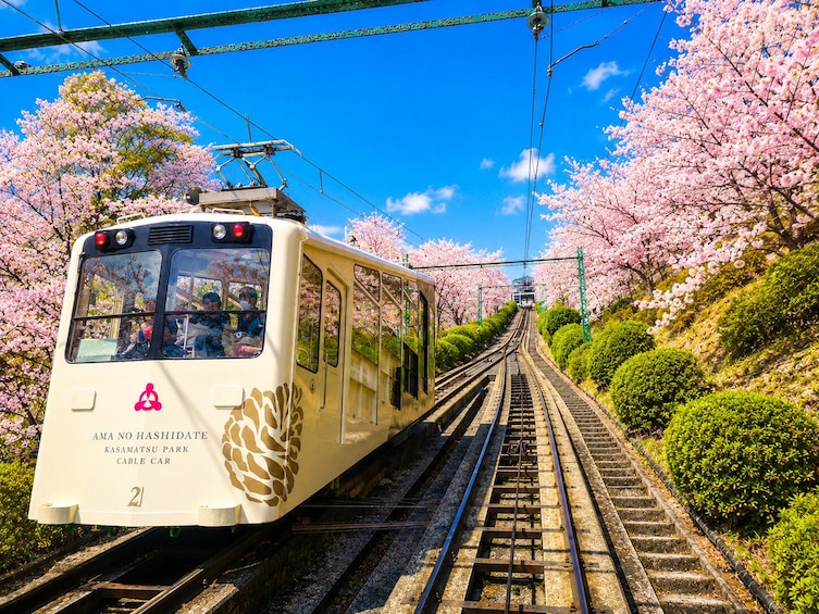 From Osaka/Kyoto: Amanohashidate 1-Day Bus Tour with Meal 2