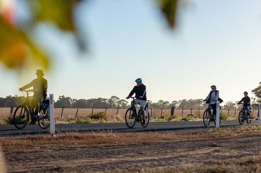 Half Day E-Bike Hire Echuca 5