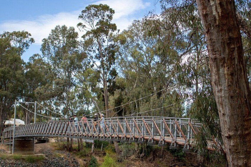 Half Day E-Bike Hire Echuca 2