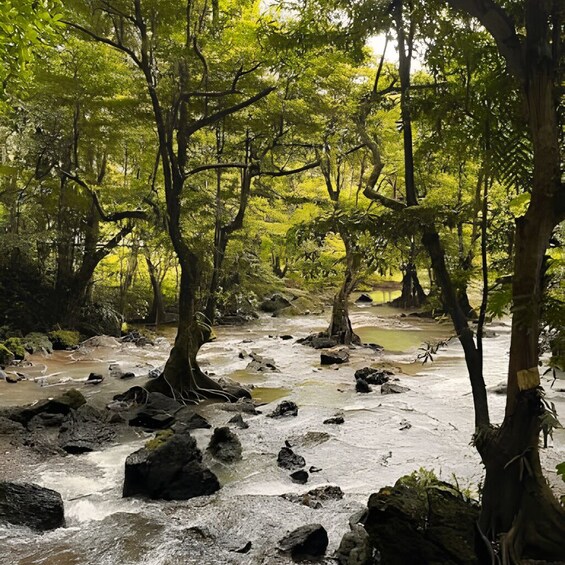 Krabi 7km White-Water Rafting, Waterfall and Monkey Cave Tour 4