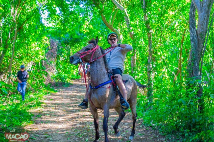 Picture 2 for Activity Punta Cana Horseback riding & Sunset + beach + free pick-up 4