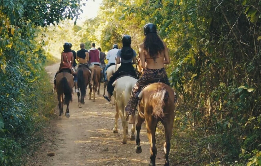 Punta Cana Horseback riding & Sunset + beach + free pick-up 1