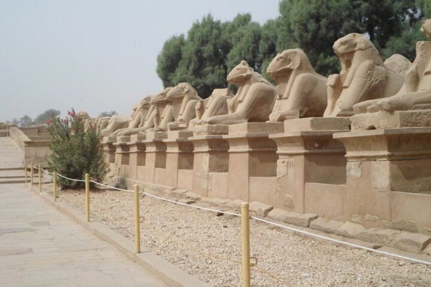 A row of sphinx statues lining a pathway. 2