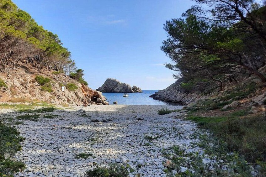 Boat Tour Around the Medes Islands and the Foradada Rock 3