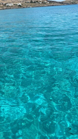 A clear blue sea with visible ripples and a rocky shoreline in the background. 3