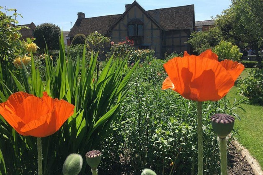 Shakespeare's Birthplace - Includes New Place Gardens 2