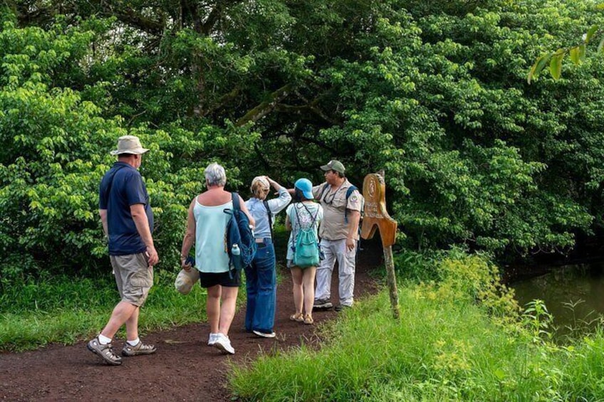 Un grupo de personas caminando por un sendero de tierra rodeado de exuberante vegetación y una masa de agua. 2