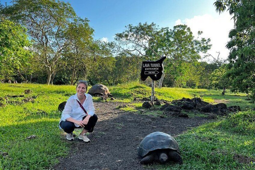 Una persona agachada cerca de un cartel que dice 'Lava Tunnel Entrance', con tortugas en primer plano. 1
