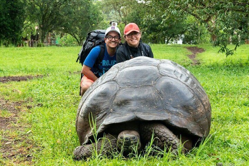 Una gran tortuga sobre la hierba, con una persona arrodillada a su lado. 1