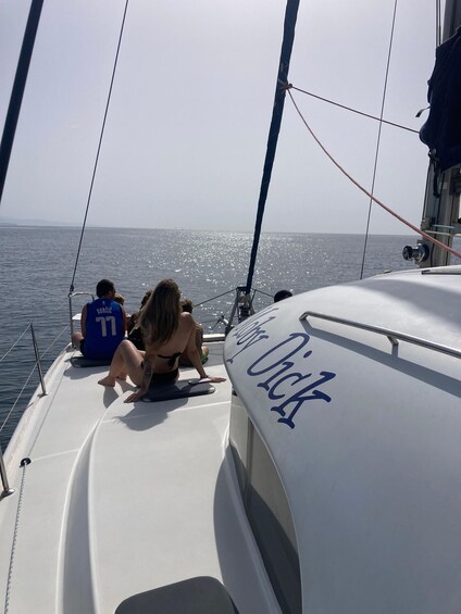 Picture 8 for Activity Dolphin watching in Estepona 3