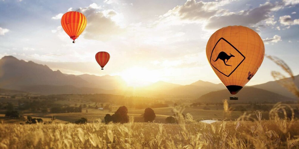 Gold Coast: Hot Air Balloon Flight, Sparkling Wine & Photos 1