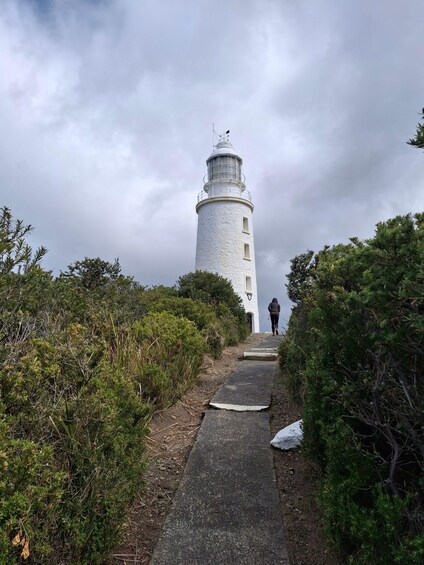 Picture 1 for Activity Cape Bruny Lighthouse Tour - Bruny Island 3
