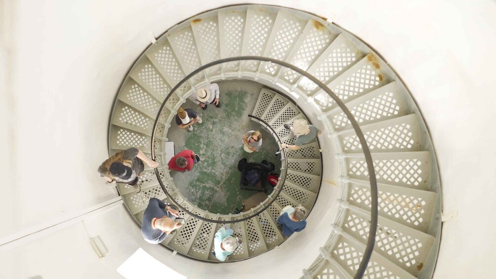 Picture 8 for Activity Cape Bruny Lighthouse Tour - Bruny Island 4