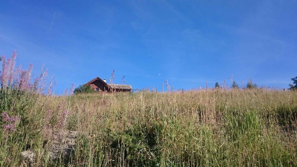 A wooden cabin on a grassy hill with a clear blue sky. 4