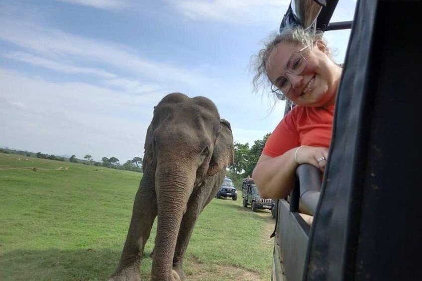 Private Jeep Safari at Minneriya National Park to Visit Elephants 5