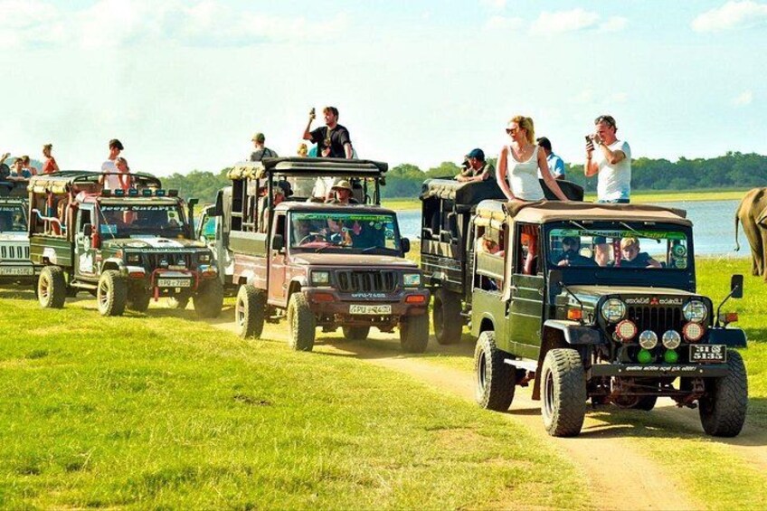 A safari tour with vehicles and passengers. 4