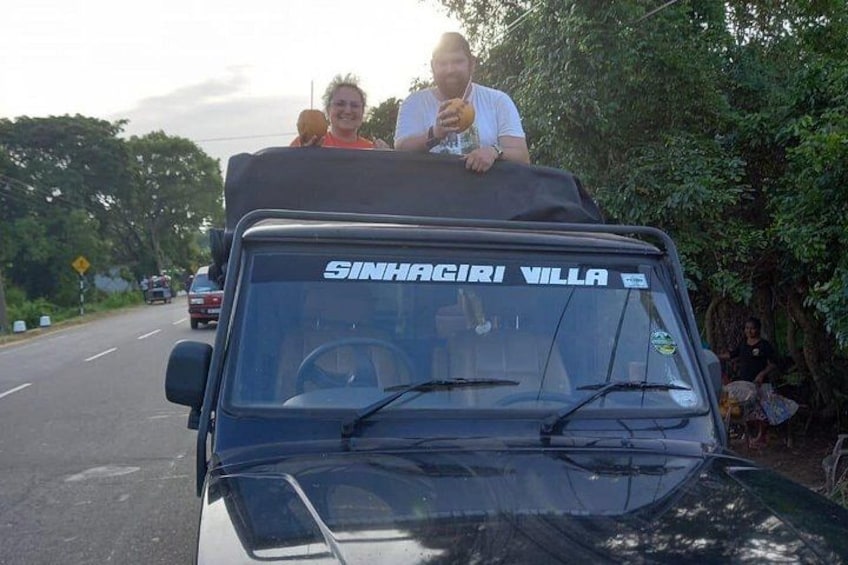 Private Jeep Safari at Minneriya National Park to Visit Elephants 3