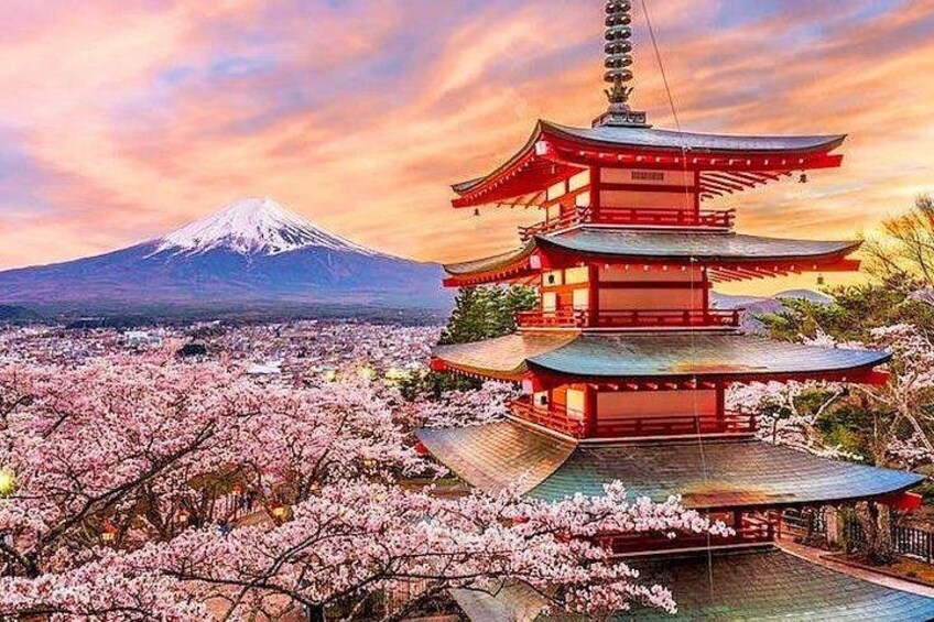 Mt. Fuji Classic One Day Tour from Tokyo 2