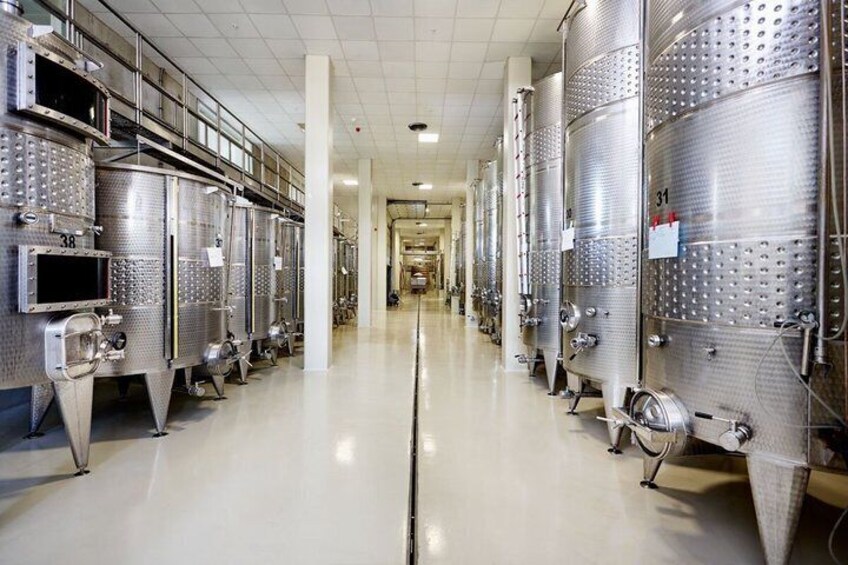 Wine Tasting, Cellar and Vineyard Tour in Urla 5