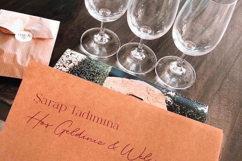 Wine Tasting and Vineyard Tour in Urla Transfer Optional 2