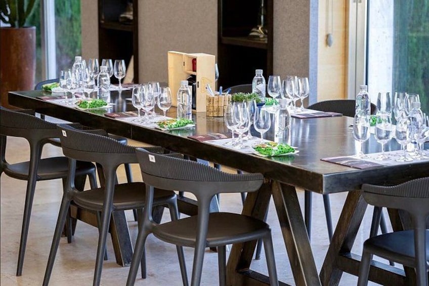 Wine Tasting and Vineyard Tour in Urla Transfer Optional 3