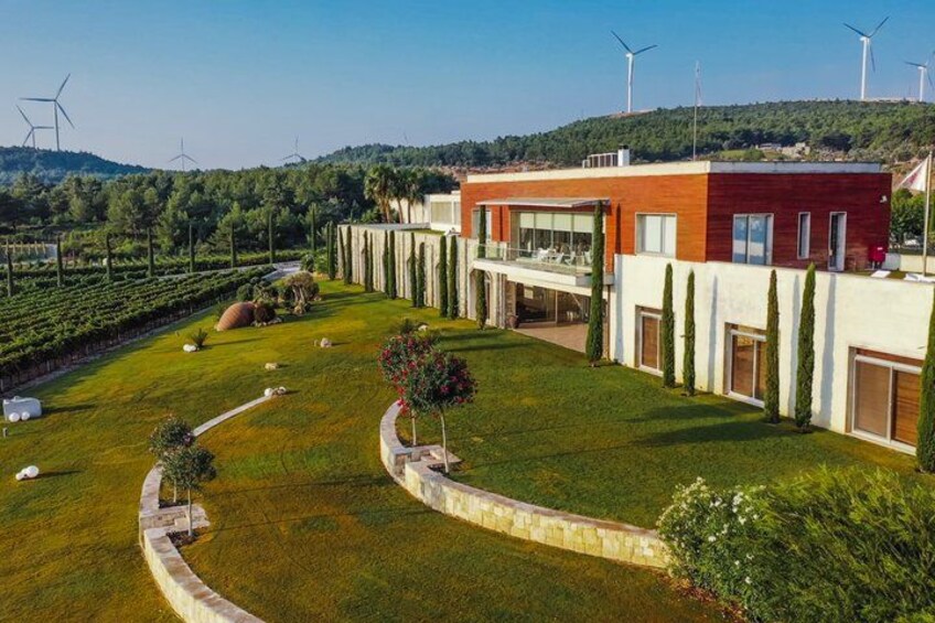 A modern house with a garden, wind turbines, and a hilly landscape. 2
