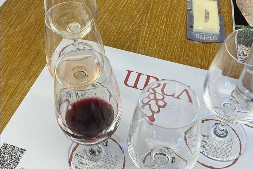 Wine Tasting and Vineyard Tour in Urla Transfer Optional 2