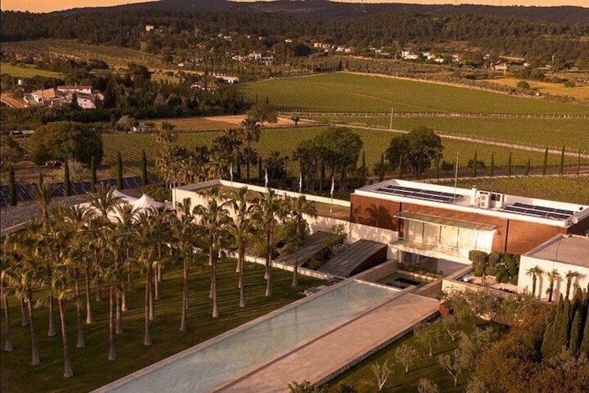 Wine Tasting and Vineyard Tour in Urla Transfer Optional 4
