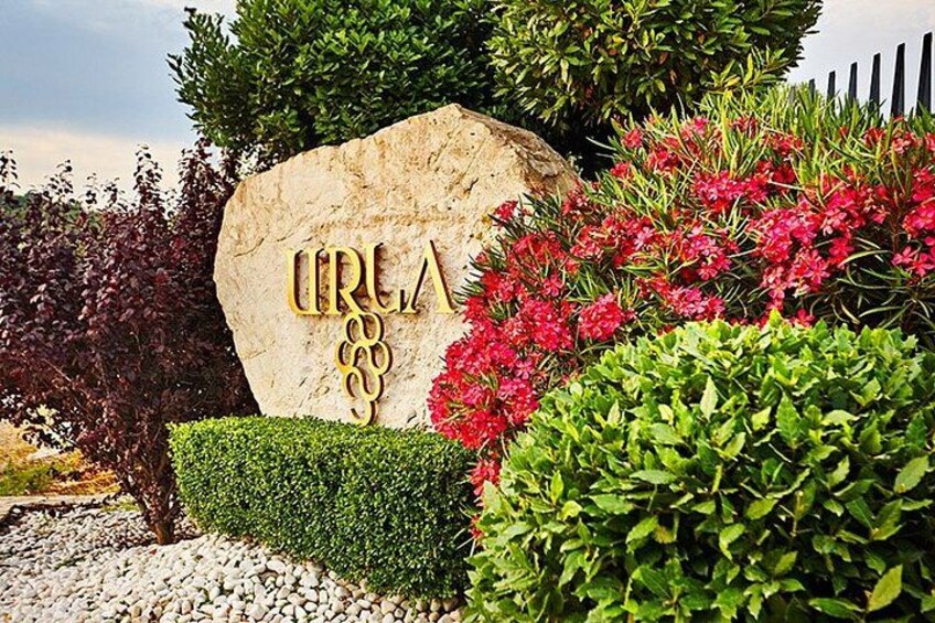 Wine Tasting and Vineyard Tour in Urla Transfer Optional 5