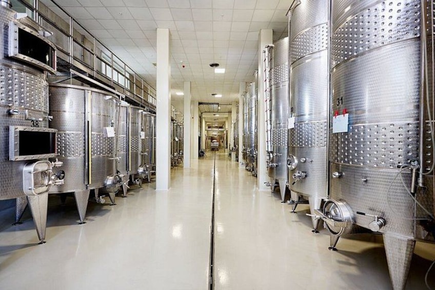 Wine Tasting and Vineyard Tour in Urla Transfer Optional 4