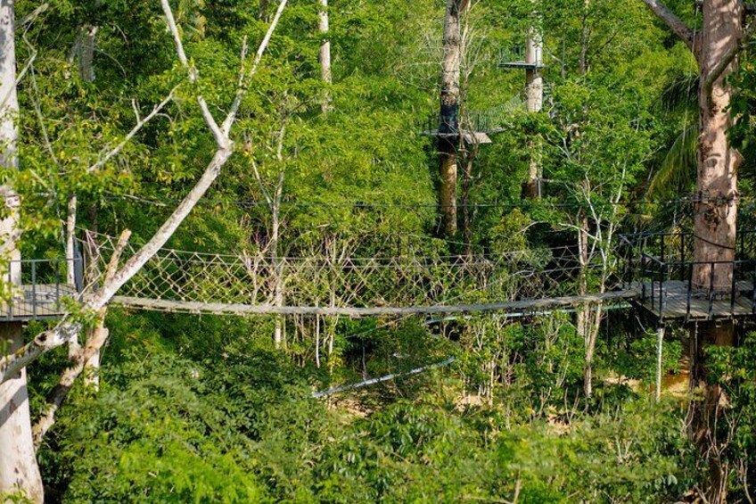 Koh Samui Jungle Zipline Adventure (16 Platforms) 3
