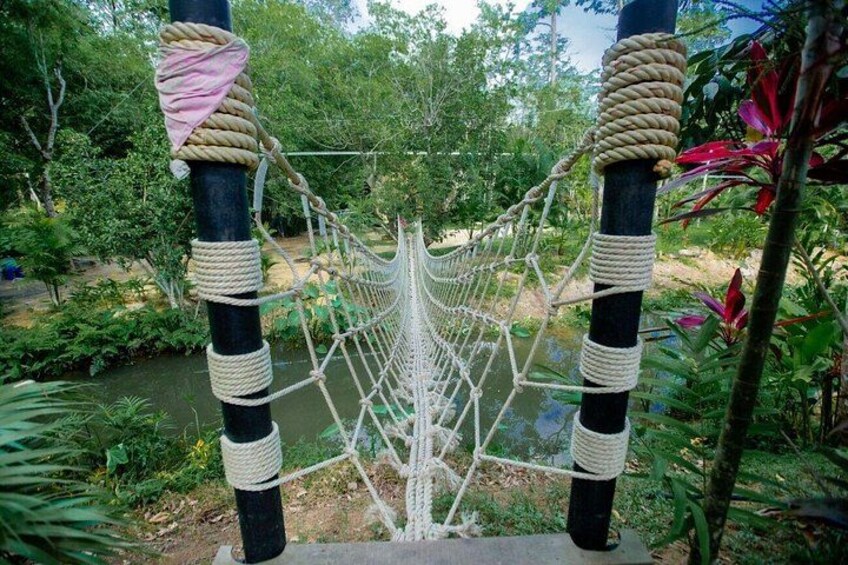 Koh Samui Jungle Zipline Adventure (16 Platforms) 3