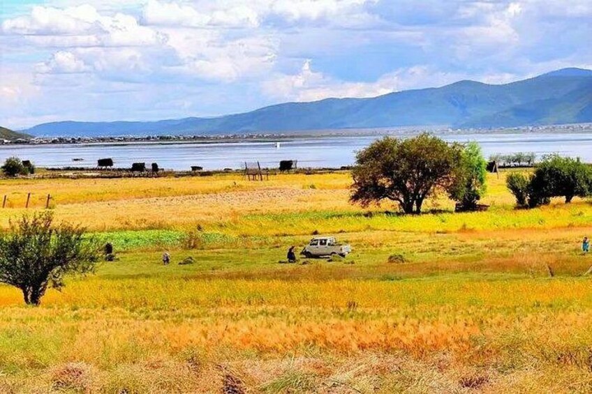 A grassy field with a body of water and mountains in the background. 3