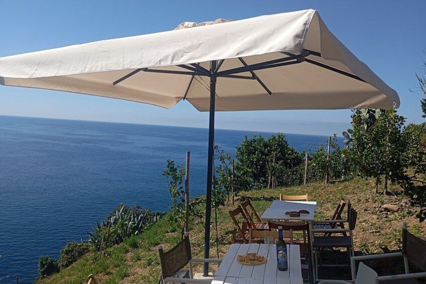 Eine Terrasse am Meer mit Tisch, Stühlen und einem großen Sonnenschirm. 3