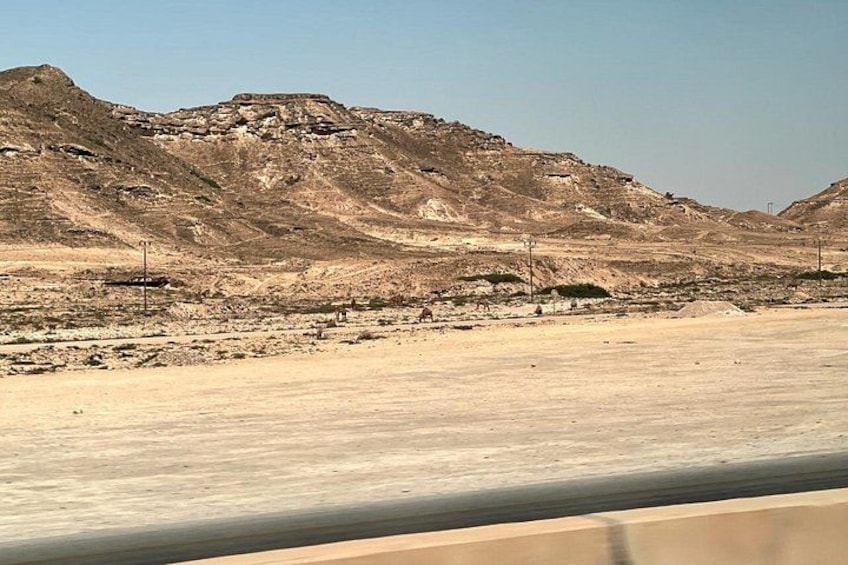 A desert landscape with mountains in the background and a flat, barren ground in the foreground. 5