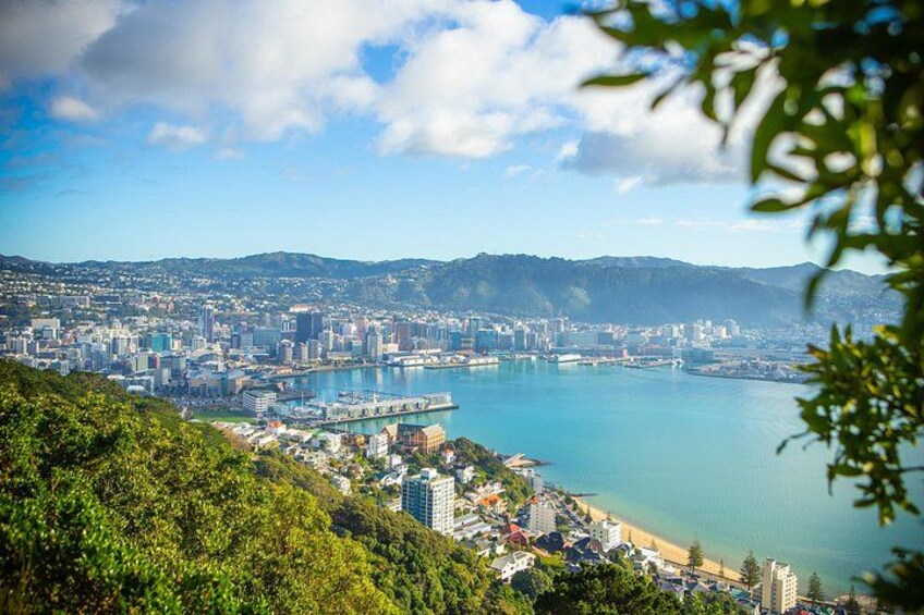 PRIVATE Wellington Half Day Tour including Cable Car 1