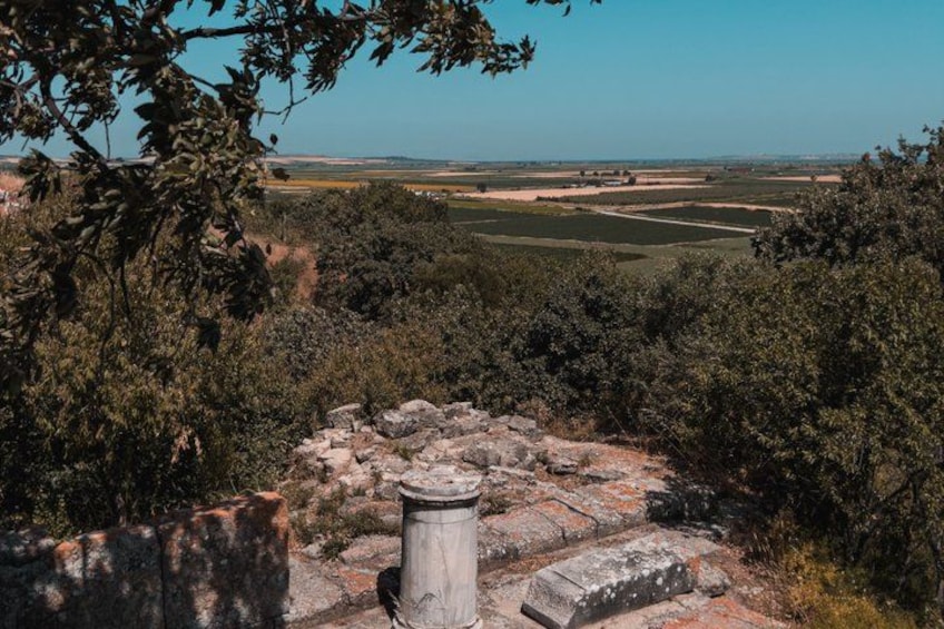 Una edificación de piedra rodeada de follaje denso, con vistas a un paisaje lejano con campos y cielo despejado. 5