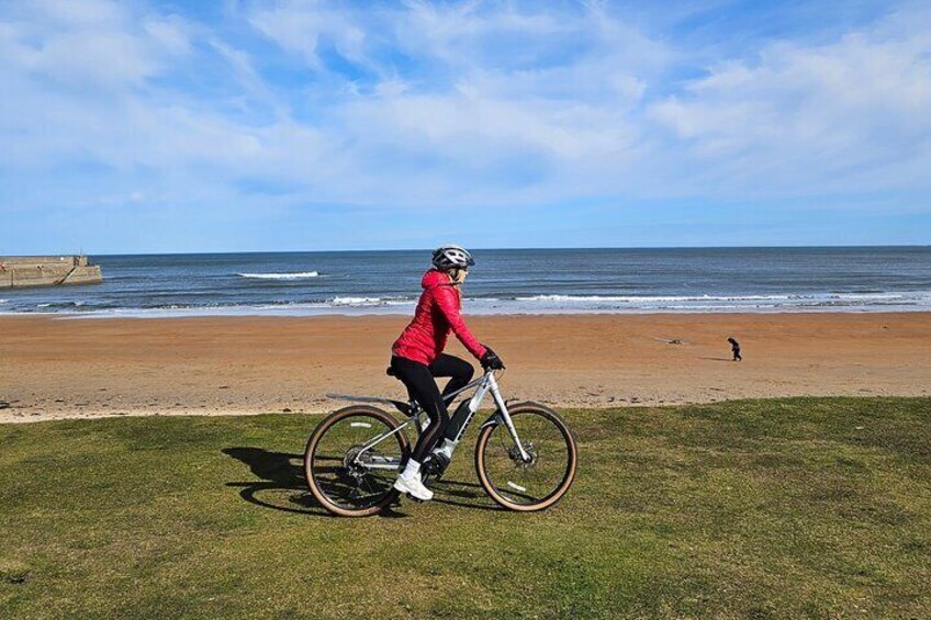 Eine Person fährt Fahrrad auf einer Wiese in der Nähe eines Strandes, im Hintergrund das Meer. 1