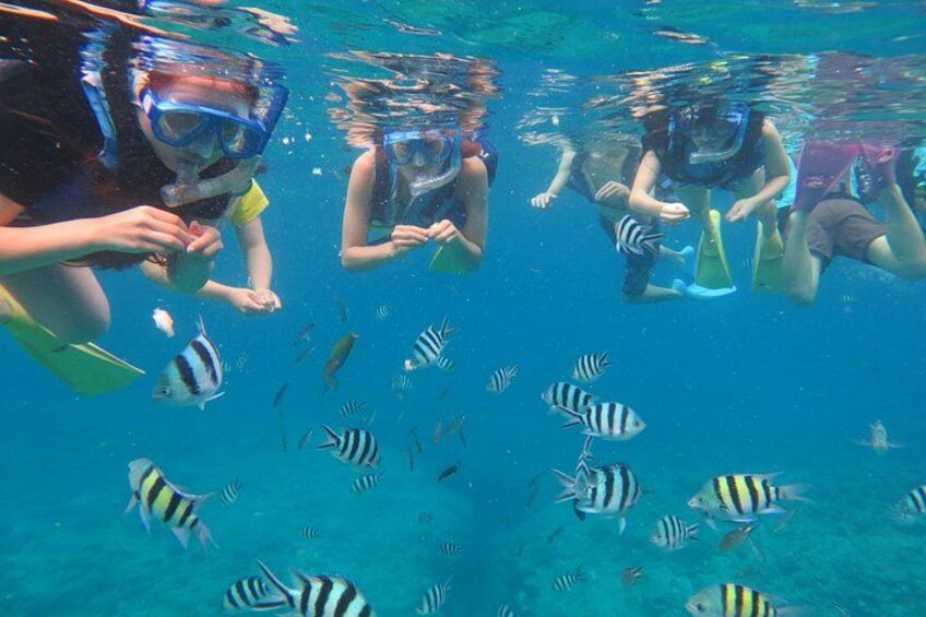 Människor som snorklar under vattnet och tittar på fiskar. 3