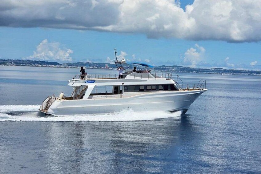 En vit yacht på ett lugnt hav, med en klar himmel och ett avlägset land i bakgrunden. 2