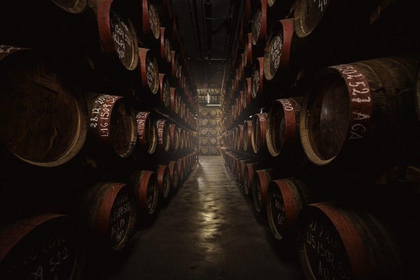 A dimly lit cellar with rows of wooden barrels stacked against the walls. 3