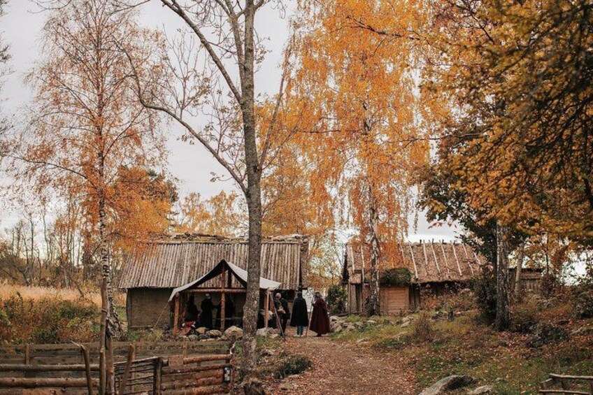 Experience Birka Viking City & Museum - Boat Tour from Stockholm 1